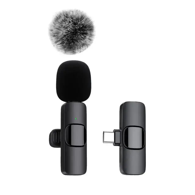 Rechargeable Wireless Microphone - Hulmstore