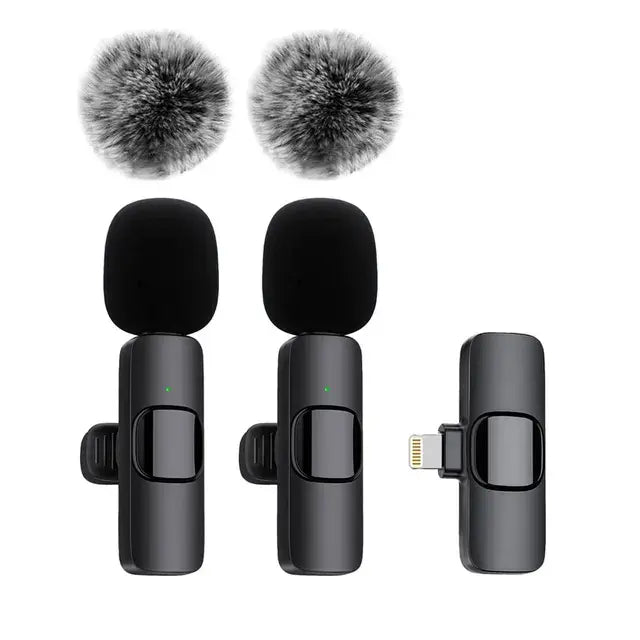 Rechargeable Wireless Microphone - Hulmstore